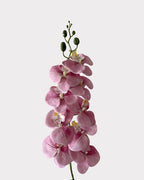 9-Head Faux Film Phalaenopsis Orchid Flower - 38.6"