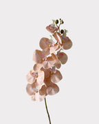 9-Head Faux Film Phalaenopsis Orchid Flower - 38.6"