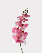 9-Head Faux Film Phalaenopsis Orchid Flower - 38.6"