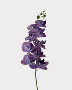 9-Head Faux Film Phalaenopsis Orchid Flower - 38.6"