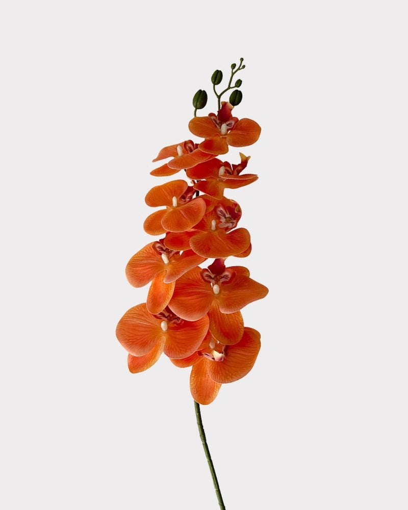 9-Head Faux Film Phalaenopsis Orchid Flower - 38.6"