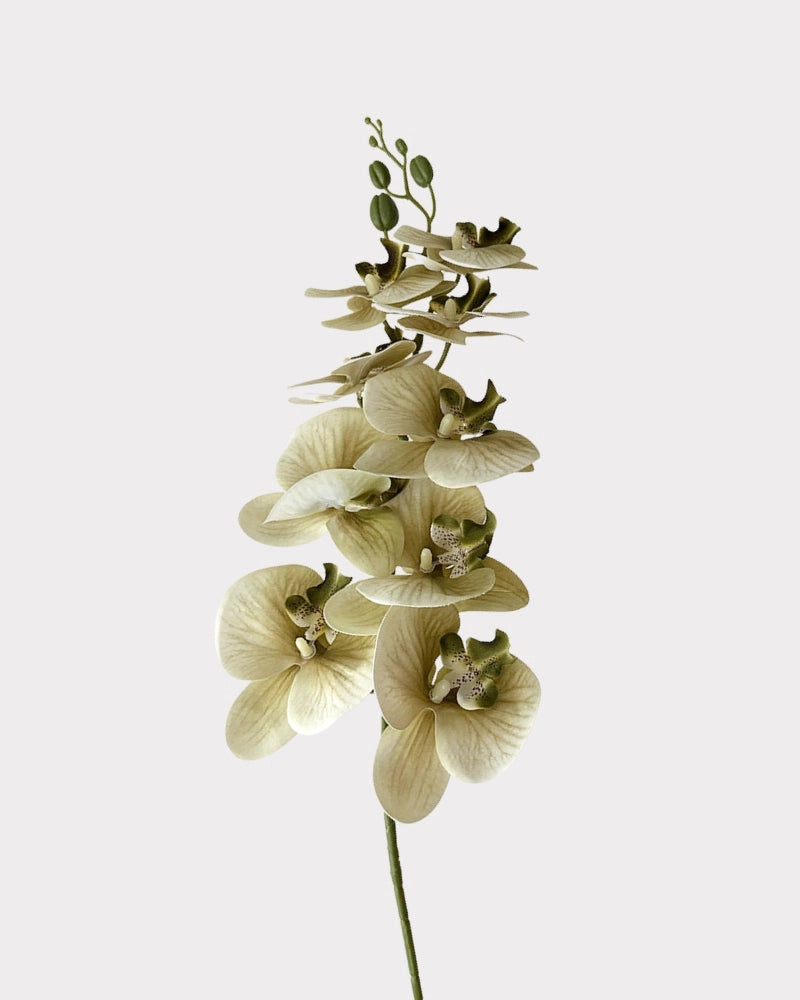 9-Head Faux Film Phalaenopsis Orchid Flower - 38.6"