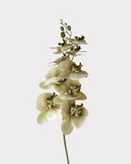9-Head Faux Film Phalaenopsis Orchid Flower - 38.6"