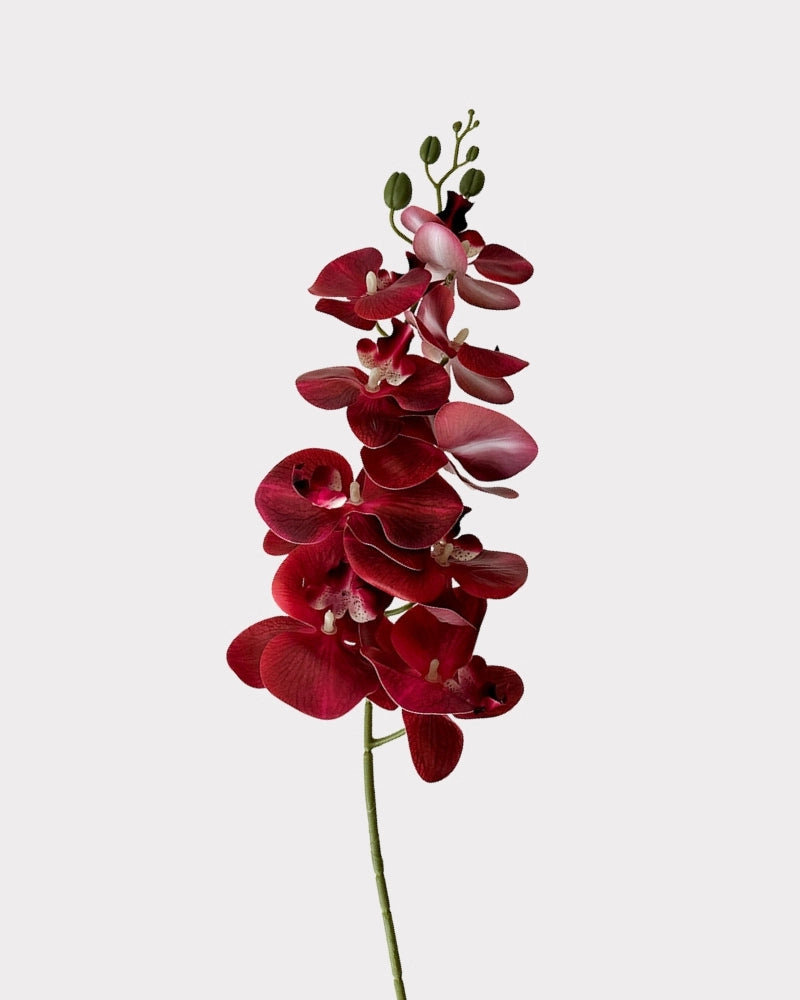 9-Head Faux Film Phalaenopsis Orchid Flower - 38.6"