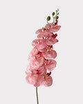 9-Head Faux Film Phalaenopsis Orchid Flower - 38.6"