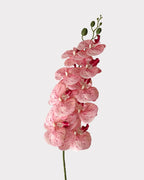 9-Head Faux Film Phalaenopsis Orchid Flower - 38.6"