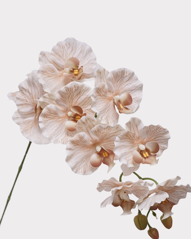 9-Head Phalaenopsis Orchid Faux Flower - 39"