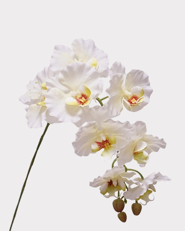 9-Head Phalaenopsis Orchid Faux Flower - 39"