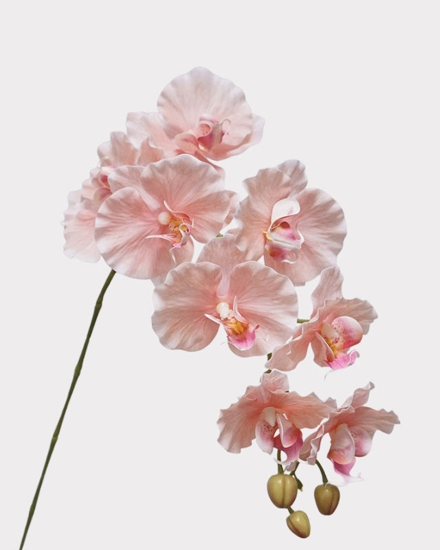 9-Head Phalaenopsis Orchid Faux Flower - 39"