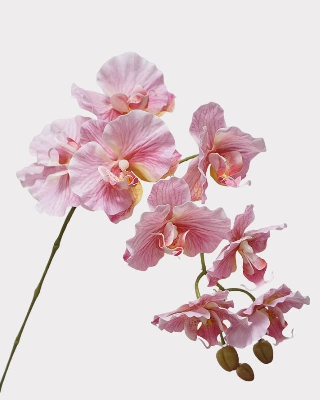 9-Head Phalaenopsis Orchid Faux Flower - 39"