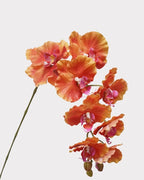 9-Head Phalaenopsis Orchid Faux Flower - 39"
