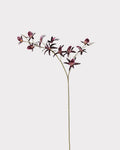 Artificial Australian Dendrobium Orchid Stem 35"
