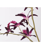 Artificial Australian Dendrobium Orchid Stem 35"