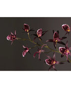 Artificial Australian Dendrobium Orchid Stem 35"