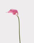 Artificial Calla Lily Faux Flower - 19.7"