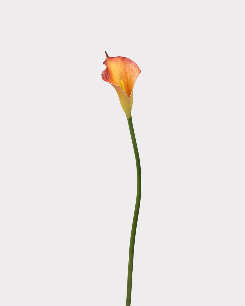 Artificial Calla Lily Faux Flower - 19.7"