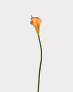 Artificial Calla Lily Faux Flower - 19.7"