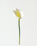 Artificial Calla Lily Stem 13"