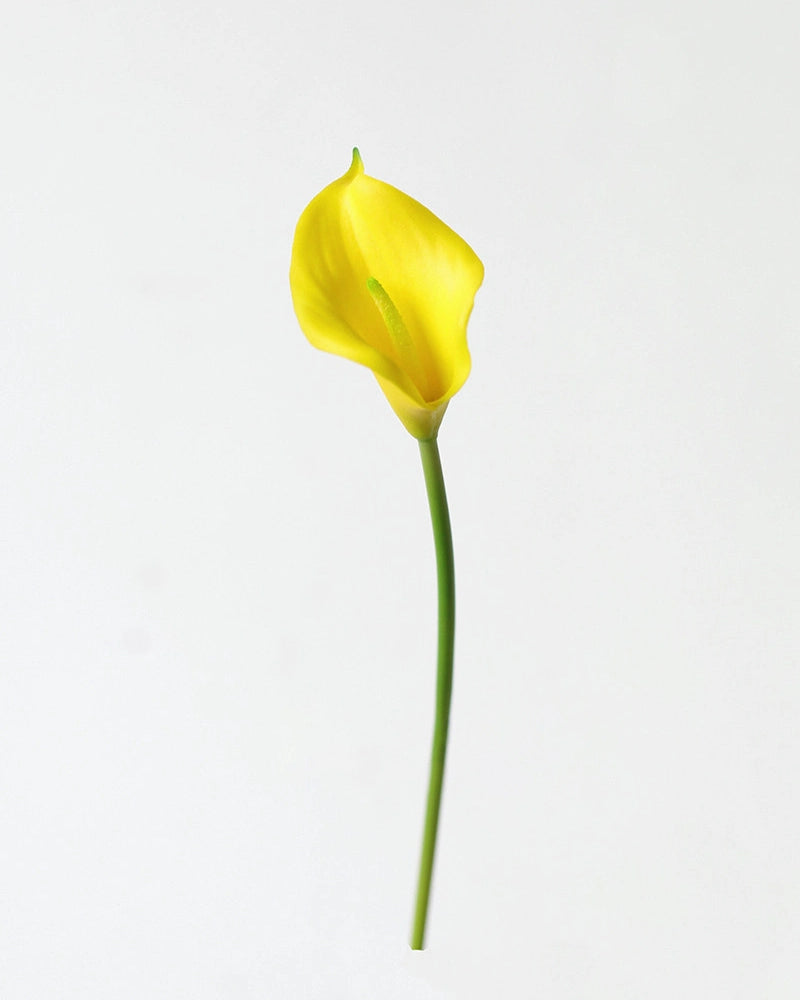 Artificial Calla Lily Stem 13"