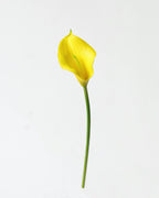 Artificial Calla Lily Stem 13"