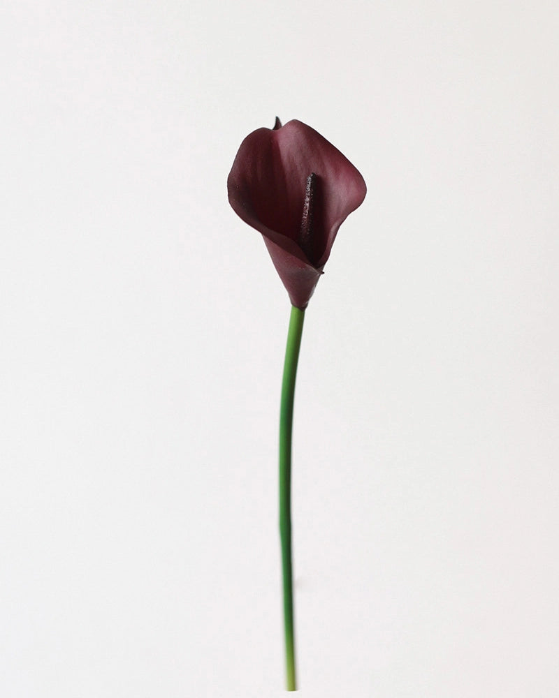 Artificial Calla Lily Stem 13"
