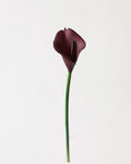 Artificial Calla Lily Stem 13"