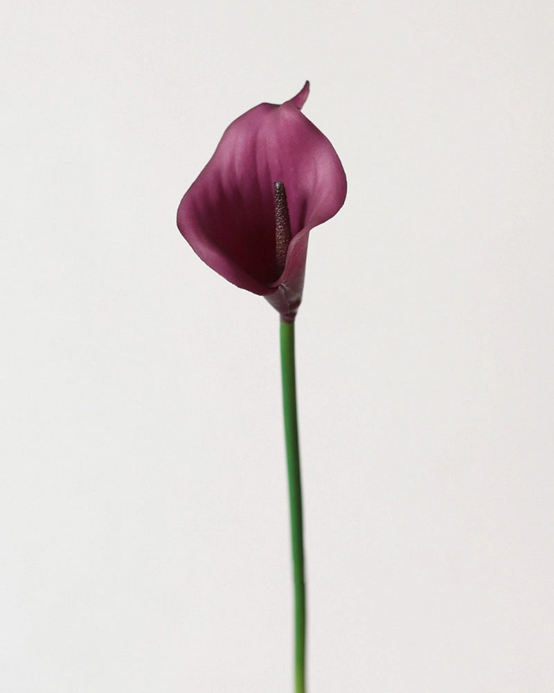 Artificial Calla Lily Stem 13"
