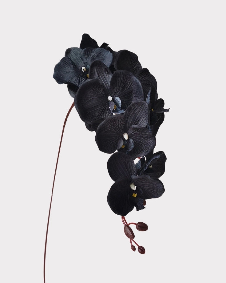 Artificial Elegant Phalaenopsis Orchid 41"