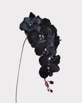 Artificial Elegant Phalaenopsis Orchid 41"
