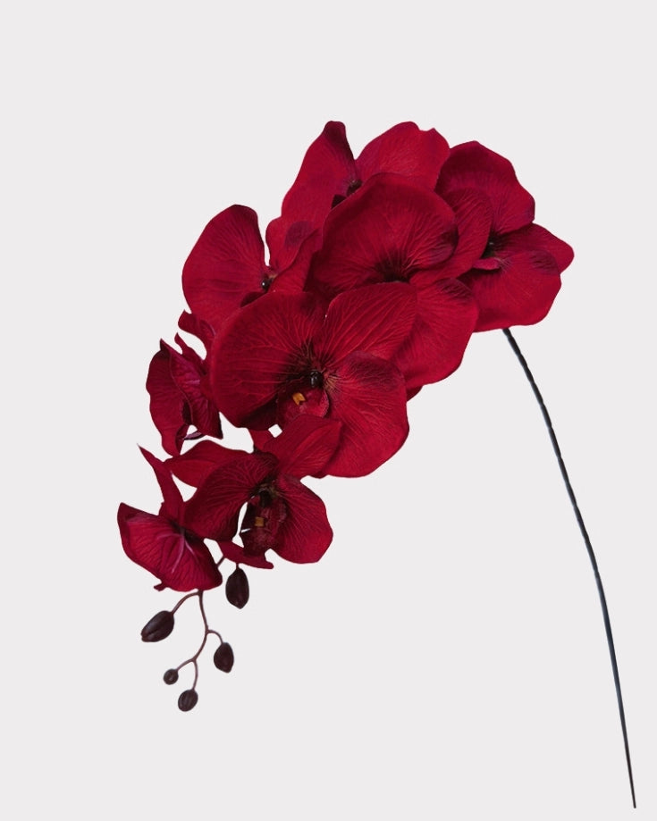Artificial Elegant Phalaenopsis Orchid 41"