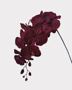 Artificial Elegant Phalaenopsis Orchid 41"