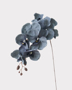 Artificial Elegant Phalaenopsis Orchid 41"