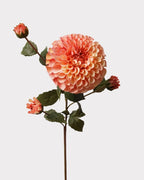 Artificial Full Bloom Lush Dahlia 31"