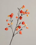 Artificial Gradient Physalis Lantern Berry Stem 30"