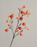 Artificial Gradient Physalis Lantern Berry Stem 30"