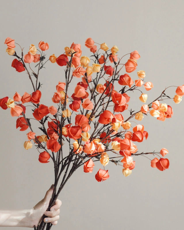 Artificial Gradient Physalis Lantern Berry Stem 30"