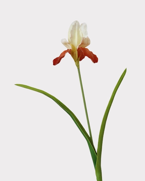 Artificial Iris Stem 22"
