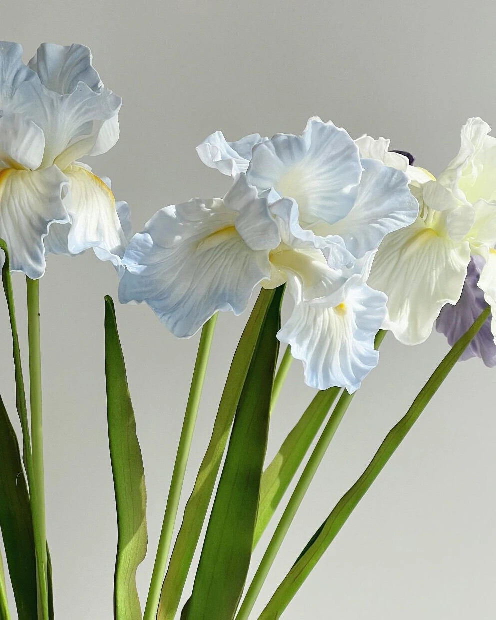 Artificial Iris Stem 22"