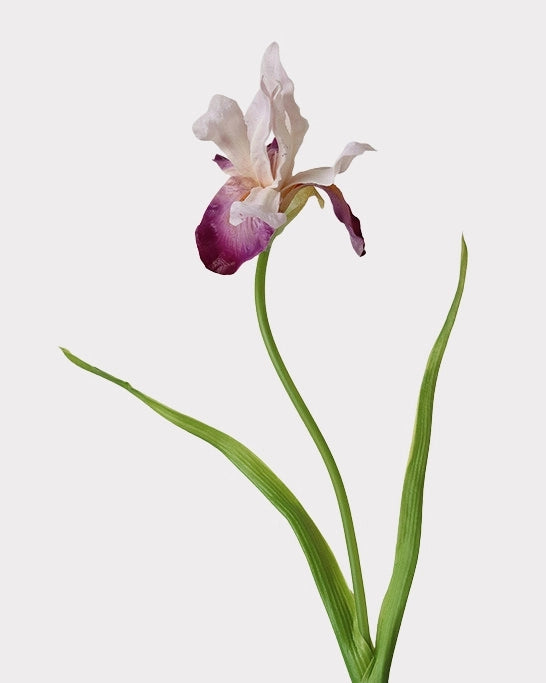 Artificial Iris Stem 22"