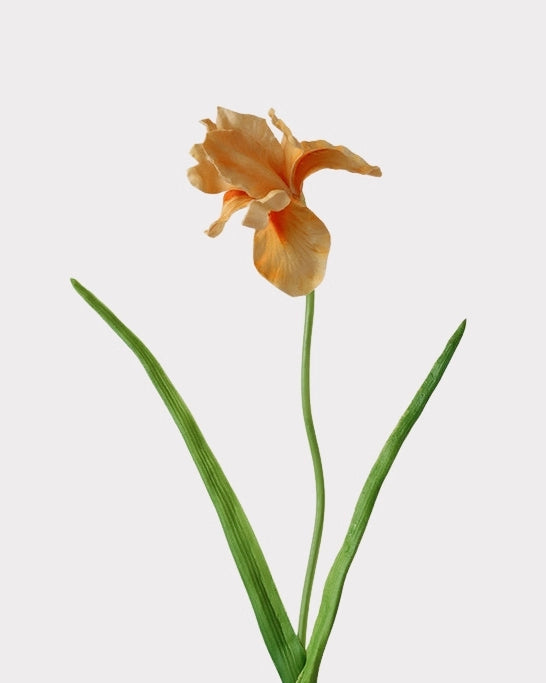 Artificial Iris Stem 22"