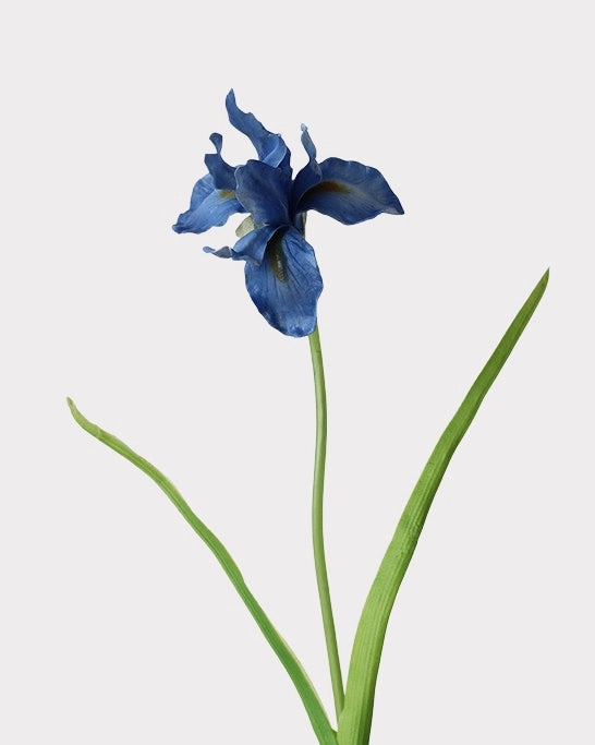 Artificial Iris Stem 22"