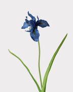 Artificial Iris Stem 22"