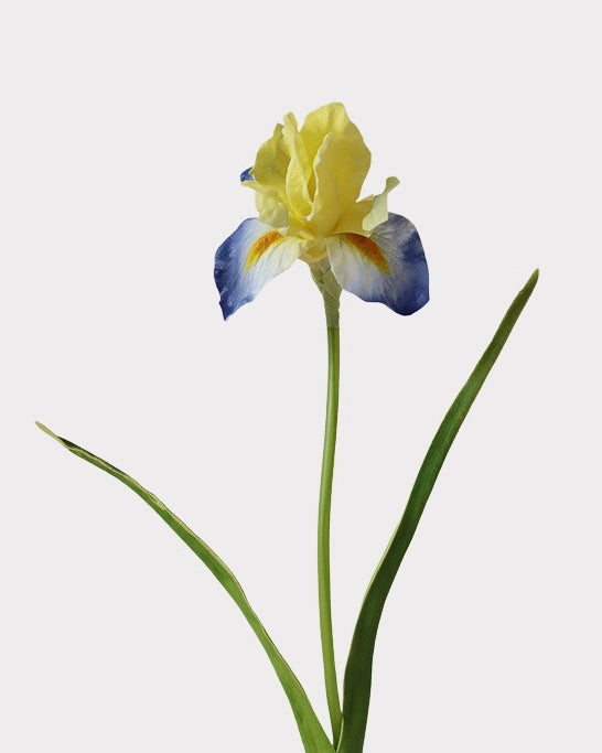 Artificial Iris Stem 22"