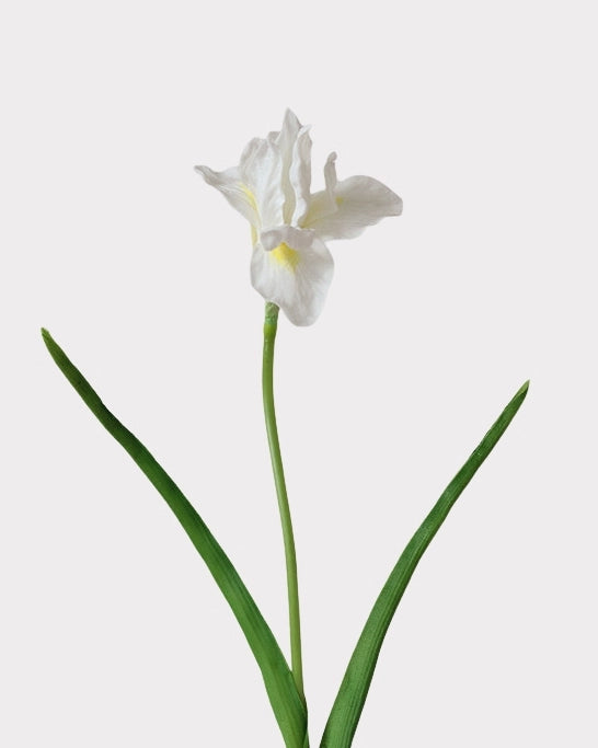 Artificial Iris Stem 22"