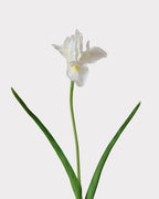 Artificial Iris Stem 22"