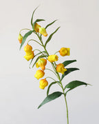 Artificial Lantern Lily Stem 40"