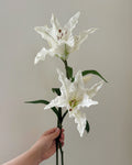 Artificial Lily Flower Branch 2 Stems 25"