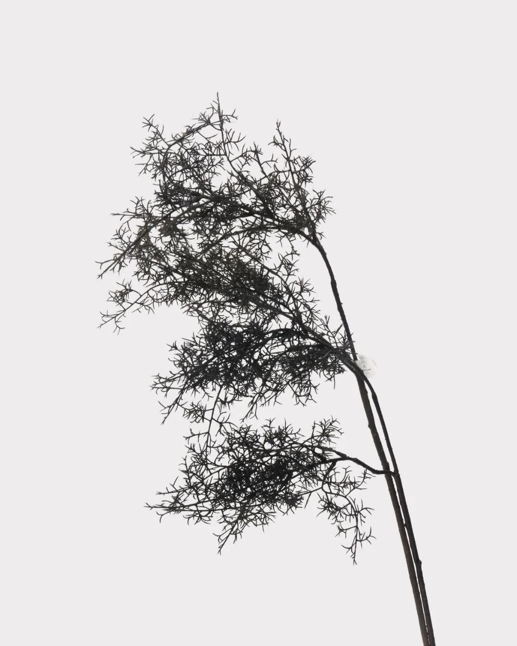 Artificial Misty Pine Foliage Stem - 30.7