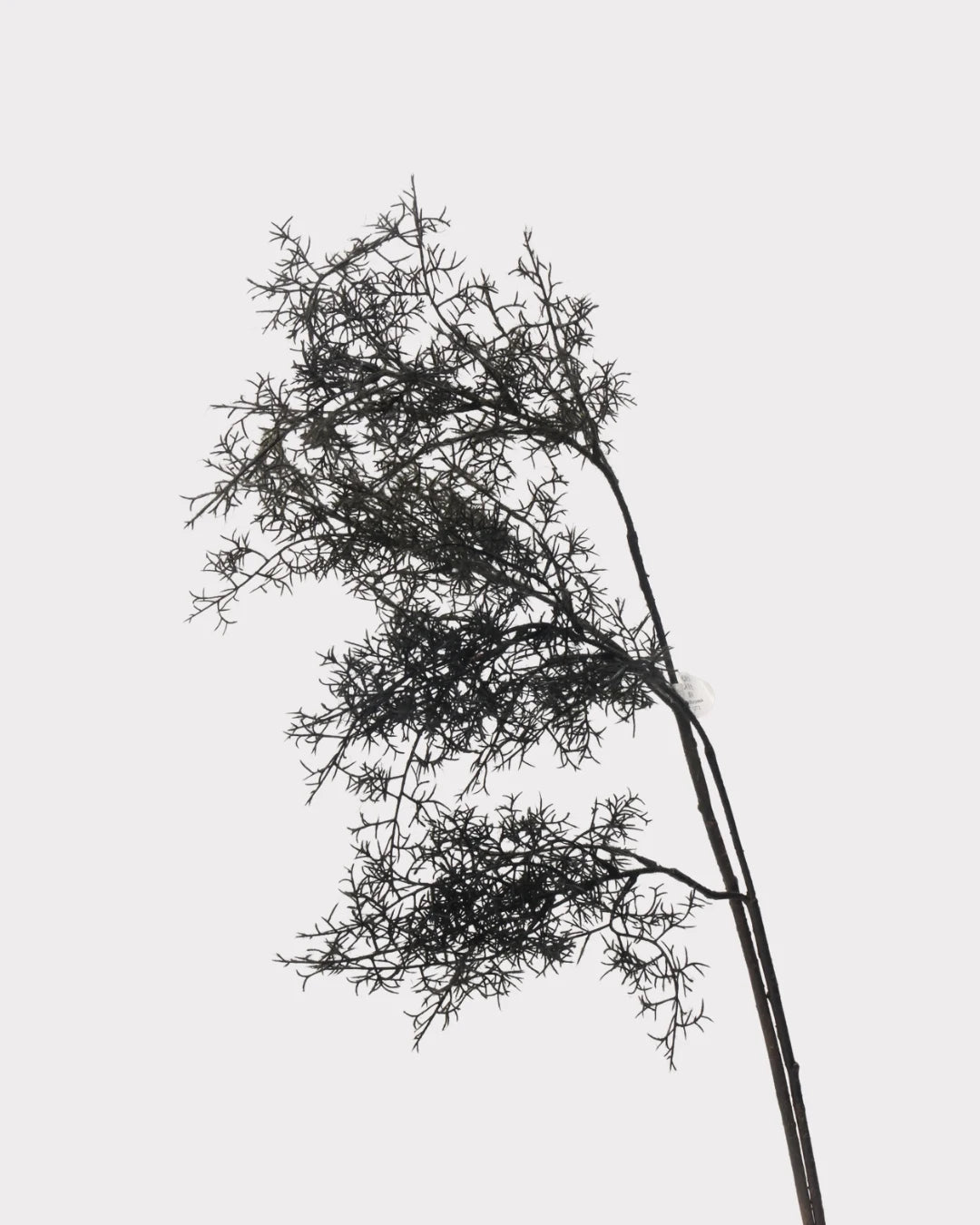 Artificial Misty Pine Foliage Stem - 30.7