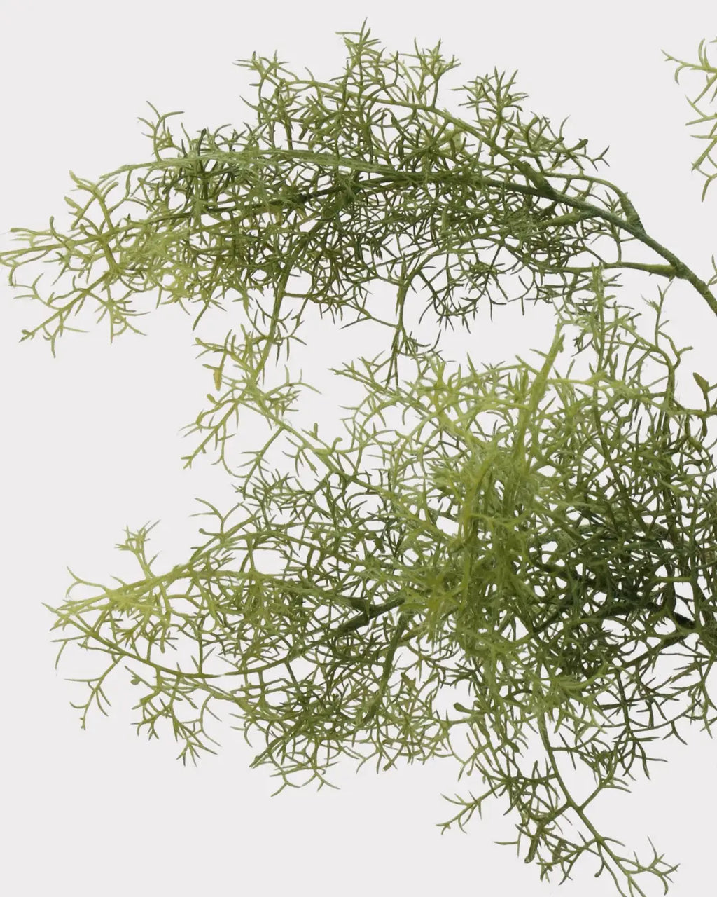 Artificial Misty Pine Foliage Stem - 30.7
